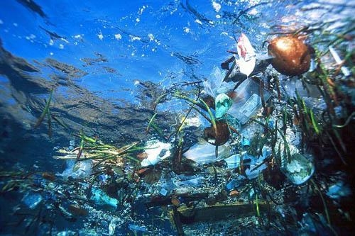 Idean solución a bomba de tiempo de desechos plásticos en océanos