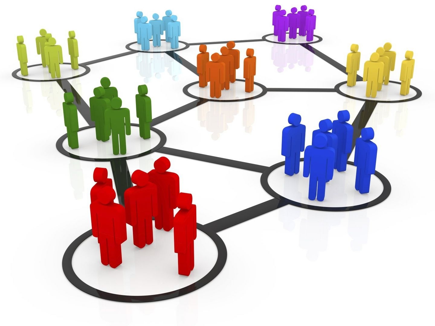 La organización de la vida y el trabajo en el mundo