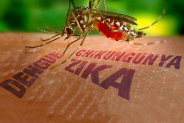 463a2b798b322339d00db224570170ef Epidemia del Zika, una oportunidad para mejorar la salud reproductiva