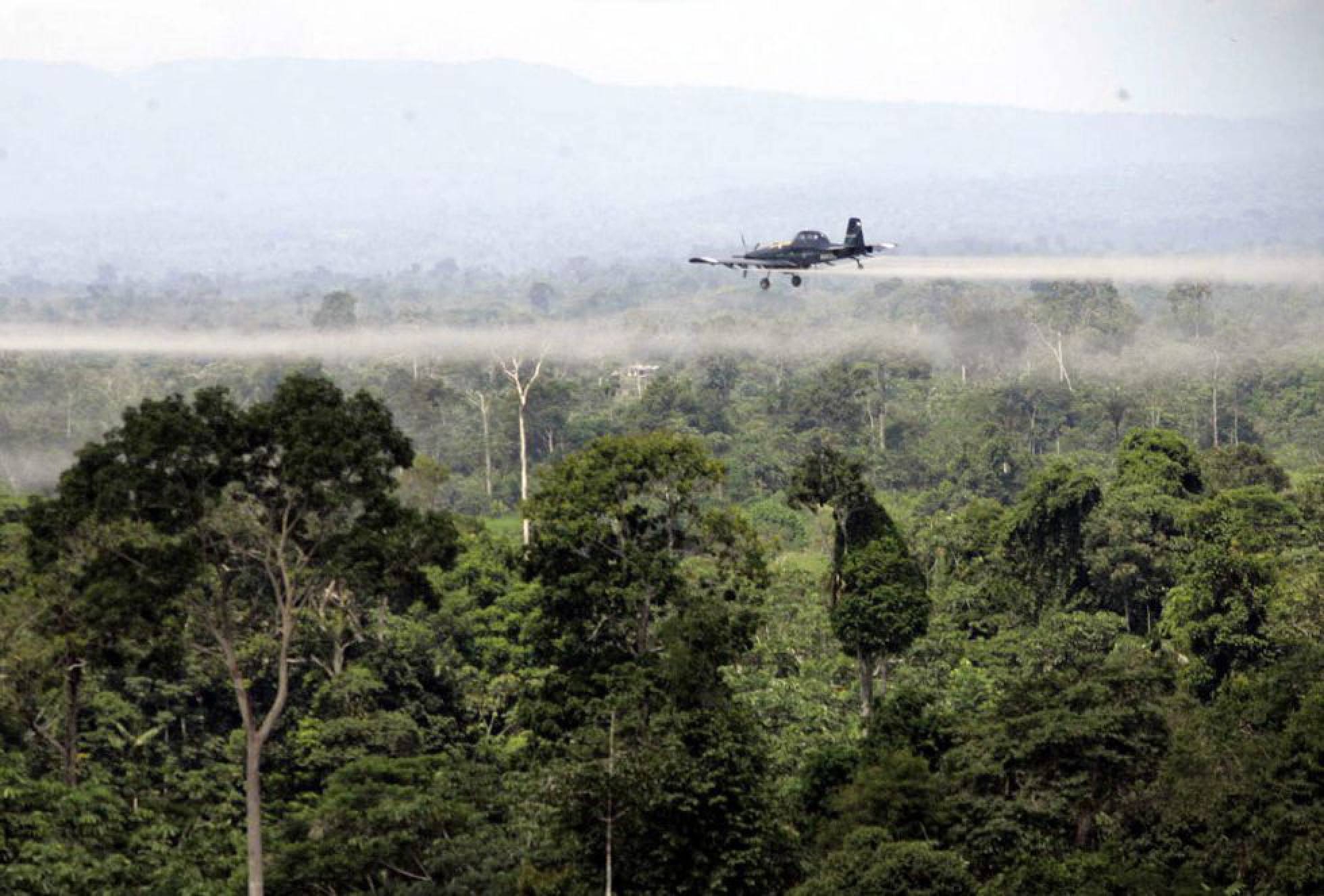 Colombia autoriza la erradicación de cultivos ilícitos con glifosato