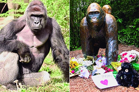 Un paseo por el zoológico