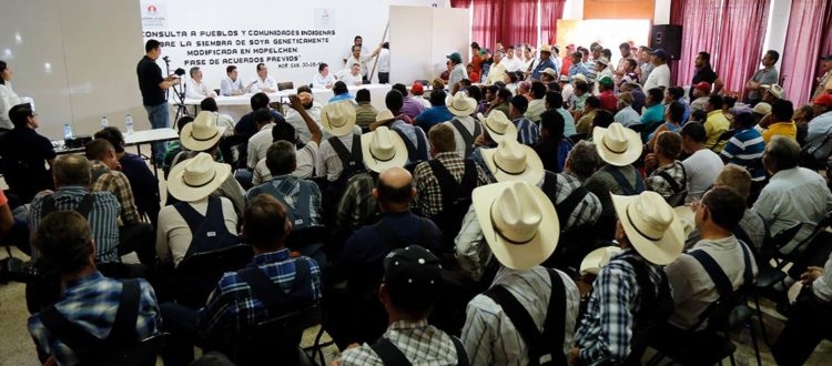 Guerra disfrazada de consulta