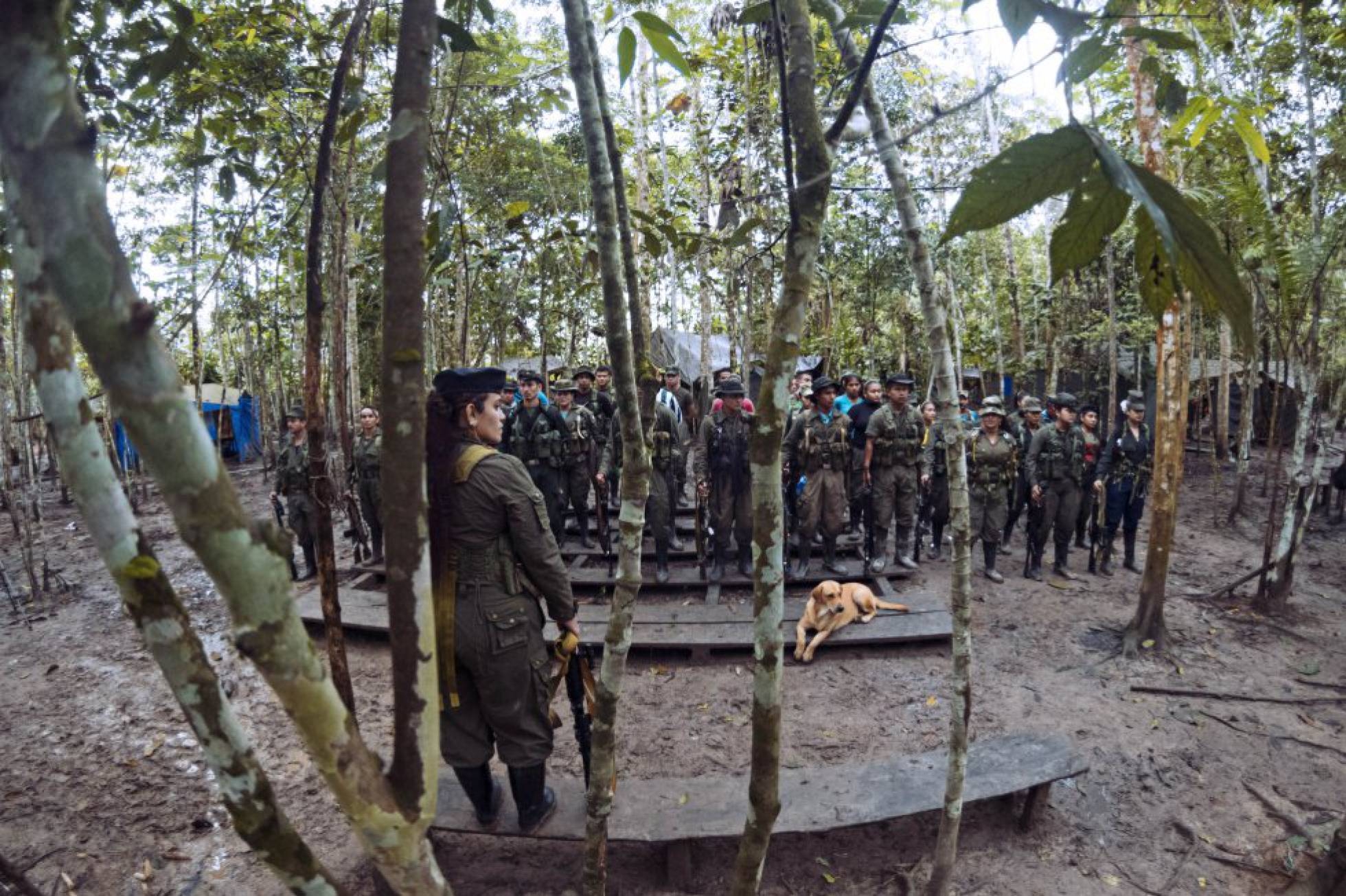 El Gobierno de Colombia y las FARC pactan un protocolo para verificar el cese al fuego