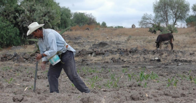 La pobreza rural en Latinoamérica bajó de 48 a 29%: ONU