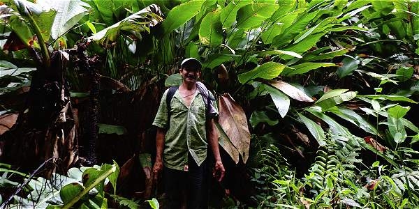 Las trasnacionales de la conservación tras los bosques campesinos