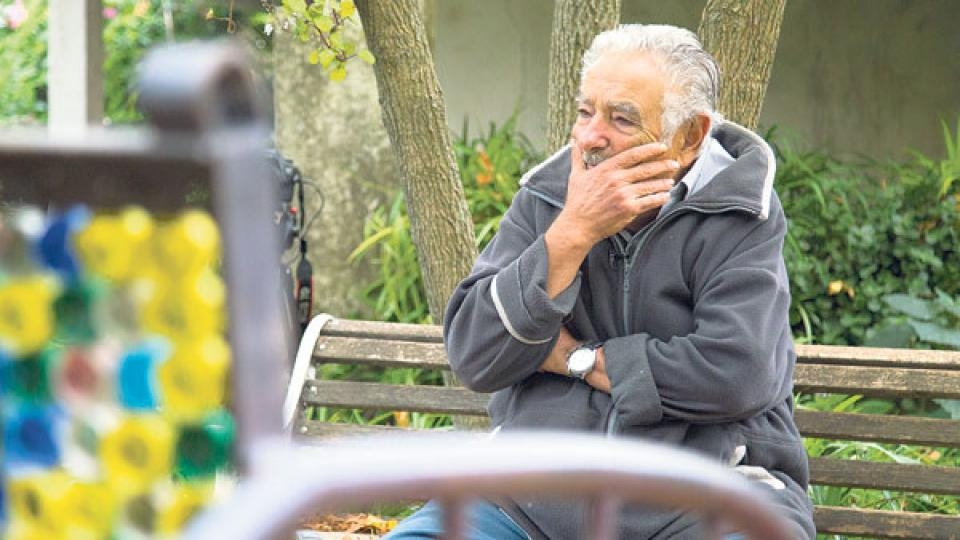 61f700bfe64c98b74994c41f766275b0 “¿Por qué hay tanta enfermedad del balero?”