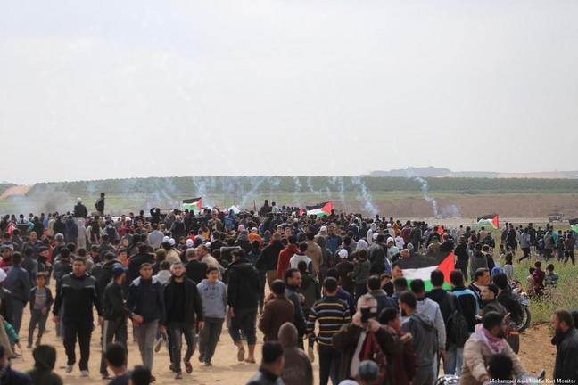 cd5cb044c5a6cec12ec8b6590707a691 Gaza, de la bancarrota a la desesperación suicida
