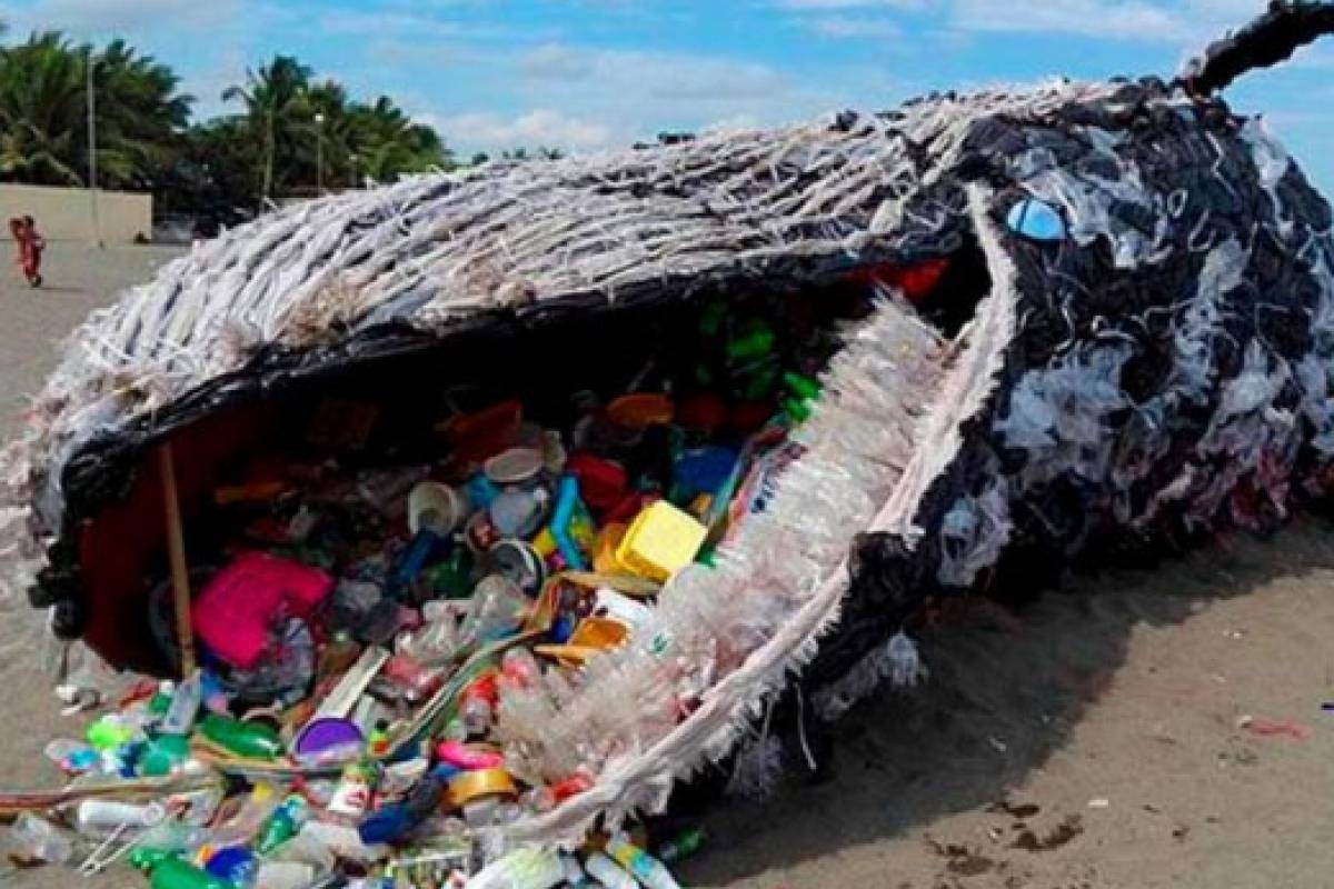 La verdad sobre la basura