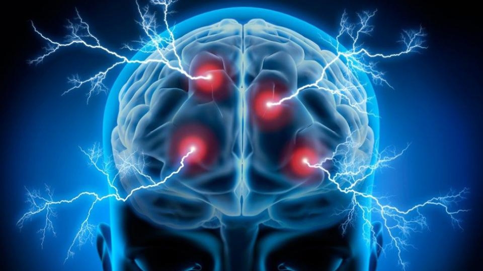 Neurociencia ficción