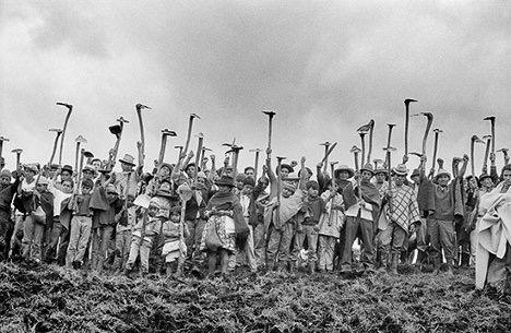 Colombia: El proyecto de ley sobre tierras es lesivo para comunidades rurales vulnerables