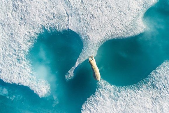 Las mejores fotografías de 2018 hechas con un dron