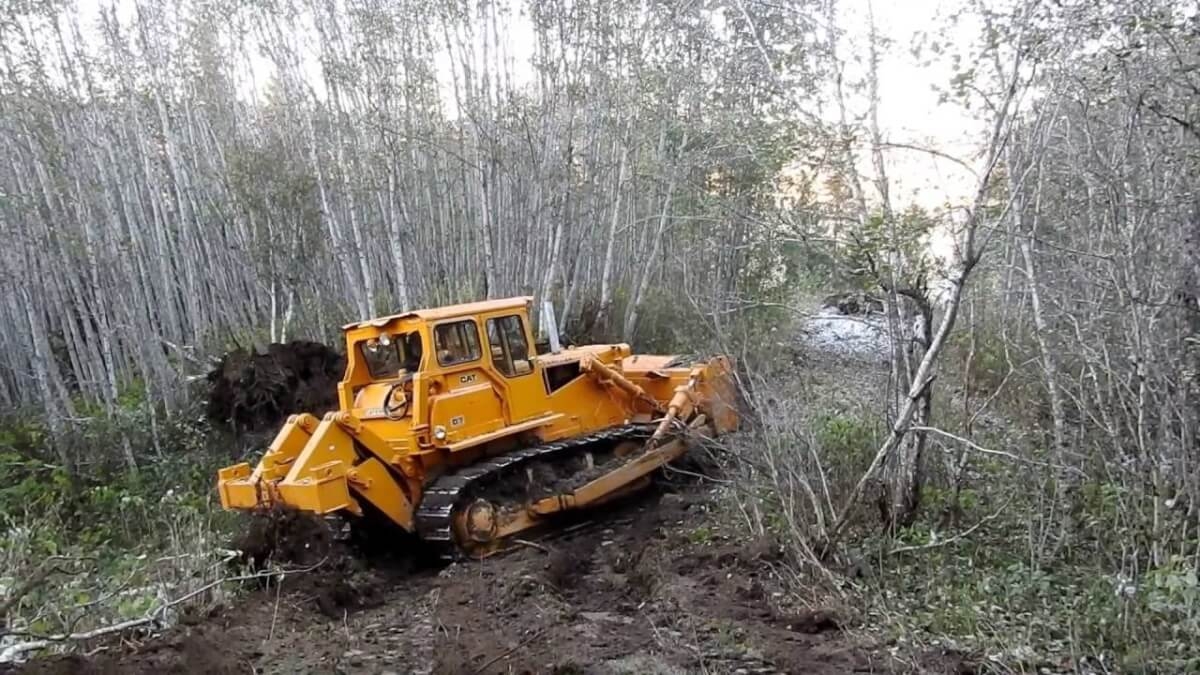 Superar la retórica ambiental en Colombia