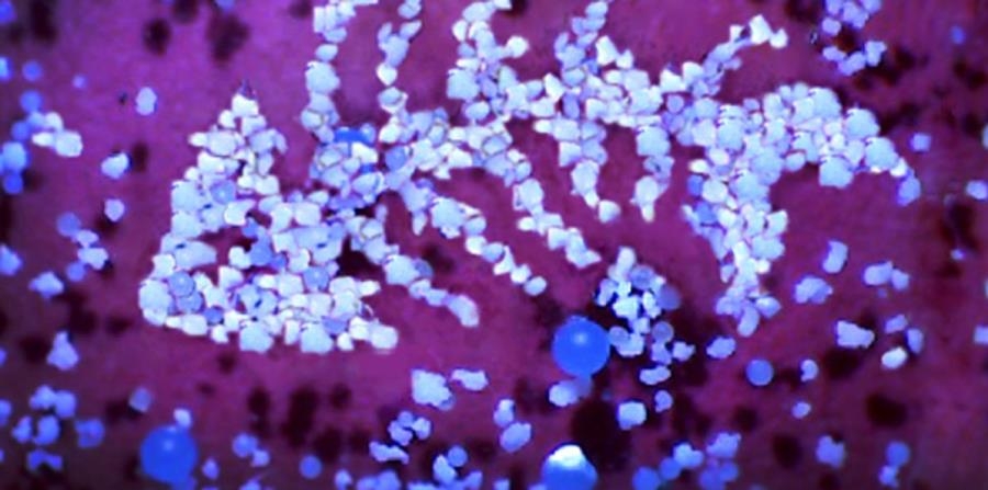 Un tercio de microplásticos que van al océano son de ropa
