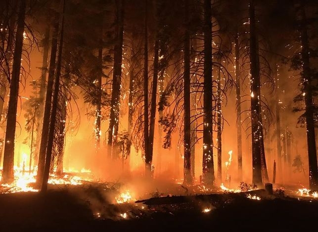 8da3dbcdb1b24b517abe0ba2ea9a955a La Administración Trump publica este demoledor informe sobre cambio climático aprovechando Acción de Gracias