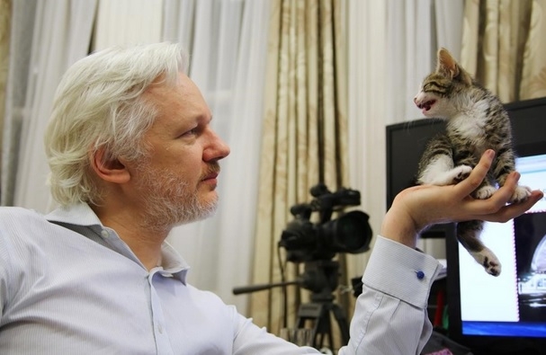 Libertad para Julian Assange