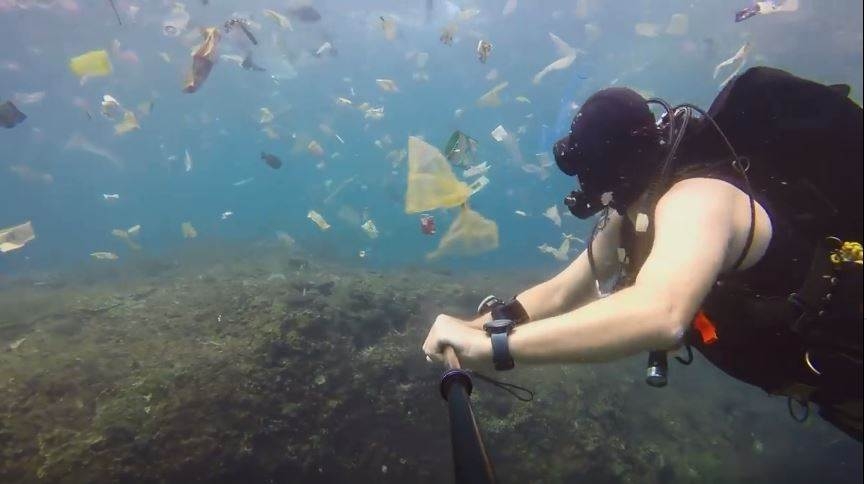 8c0f6aa9ccf81355259fe61f571dc87a “No hay un solo ecosistema marino libre de contaminación por plásticos”