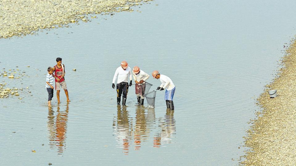 Un crimen ambiental en el río Cauca