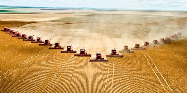 fcbb6f5376df58d69b2633b3eba9e726 El suministro mundial de alimentos está seriamente amenazado debido a la pérdida de biodiversidad