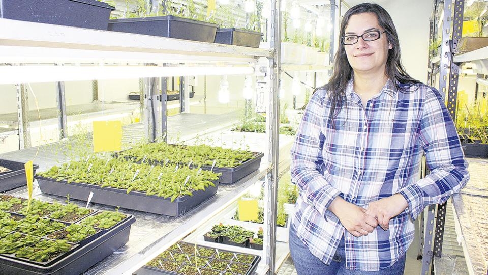 ea3c66ea0bc44859fe55879af5631944 Una investigación que germina pronto