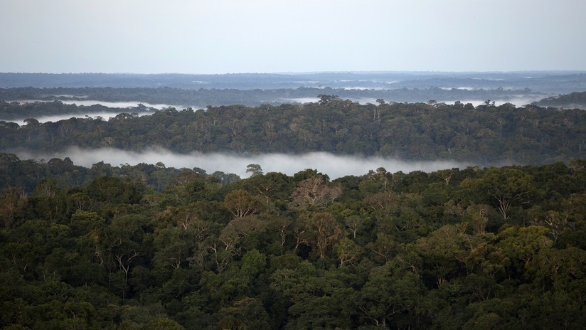 Una tribu ecuatoriana gana el juicio contra el Gobierno y salva miles de hectáreas en la Amazonia