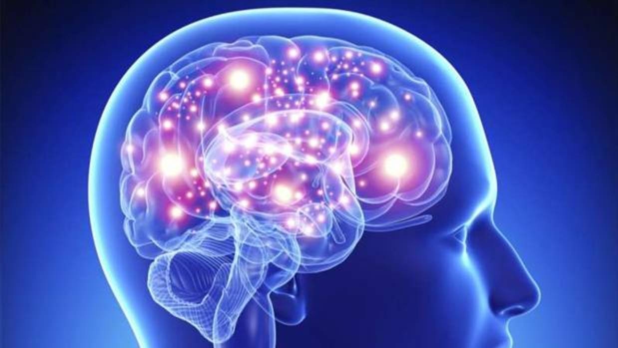 El nuevo totalitarismo: Estados Unidos y la guerra neocortical