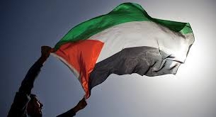 Palestina: palabras y resistencia
