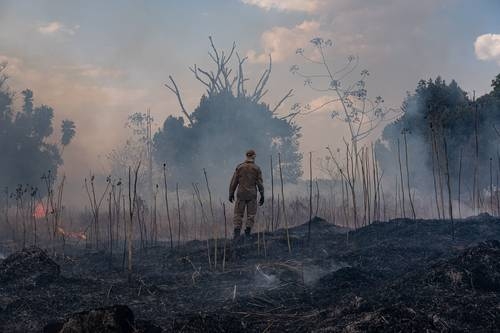 Firmas brasileñas vinculadas con Trump, corresponsables del fuego en la Amazonia