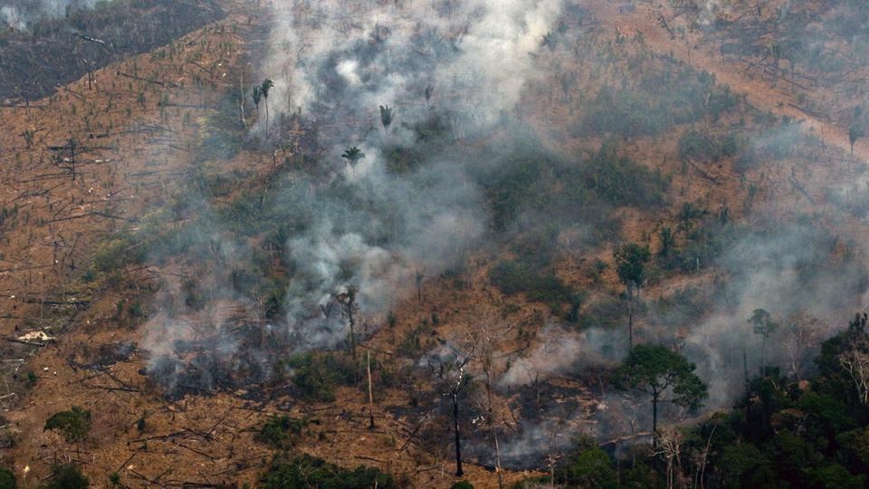 Amazonas: insólita defensa del gobierno brasileño