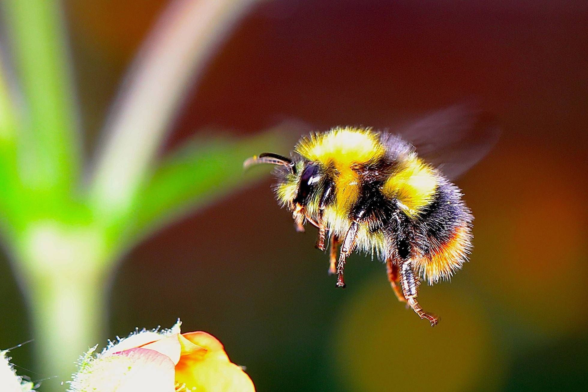 La naturaleza ya no puede mantener a los humanos