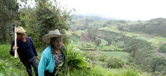 Antinomias del desarrollo: poder territorial y petróleo