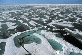 23fbaaf40e35d76f343d6d9fdffa9d9f Científicos de todo el mundo plantean seis medidas para hacer frente a la crisis climática
