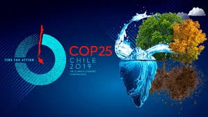 “Si hay una COP25 quiere decir que se han reunido 24 veces y han fracasado”