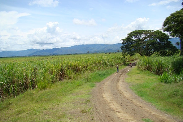 Al rojo vivo. ¿Por qué en el Cauca?