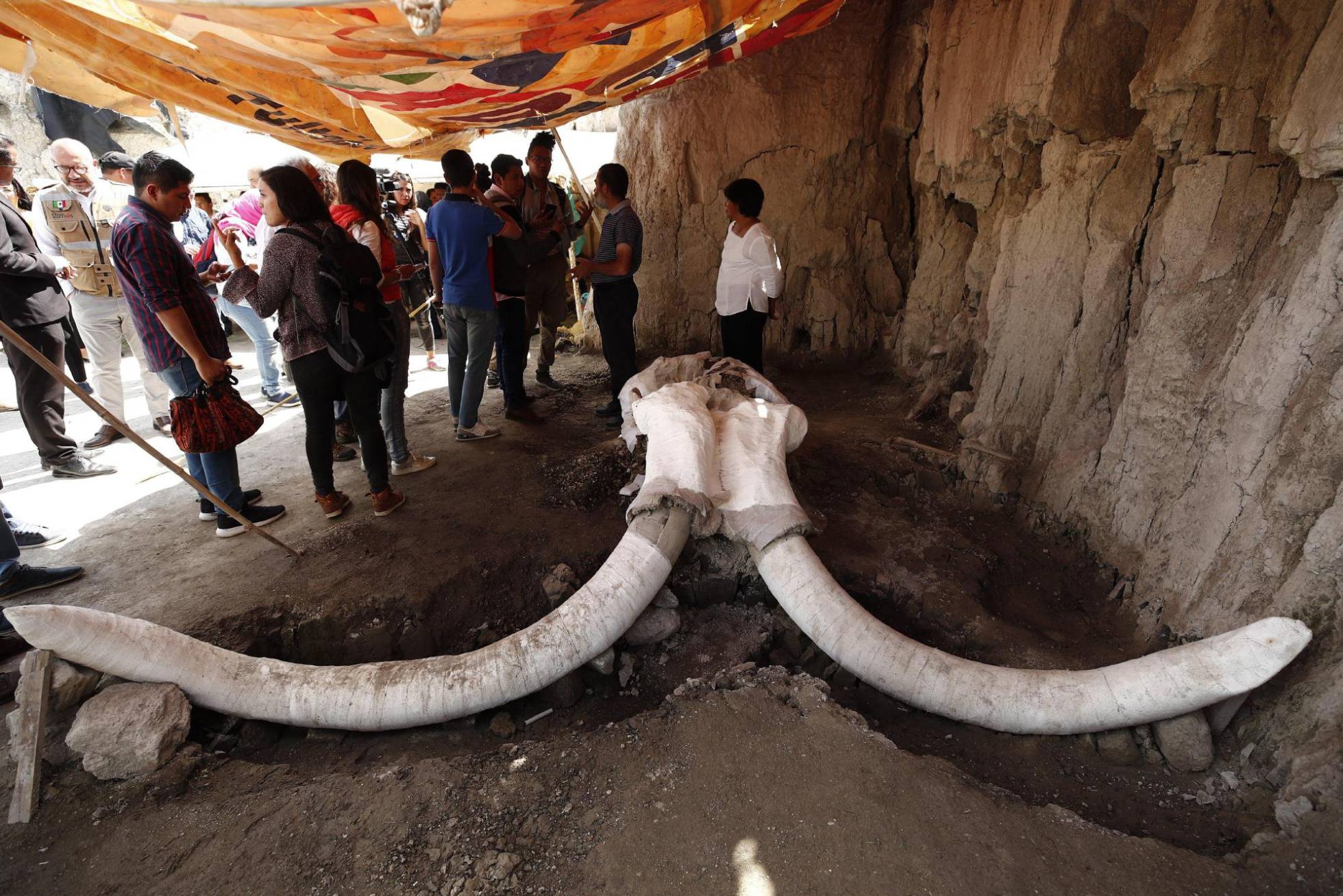 Hallados en México los restos de 14 mamuts en trampas de cazadores
