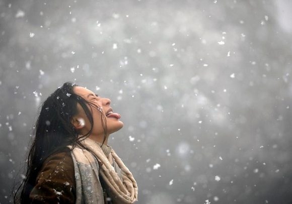 Las mejores fotos sobre medio ambiente de 2019, según Reuters