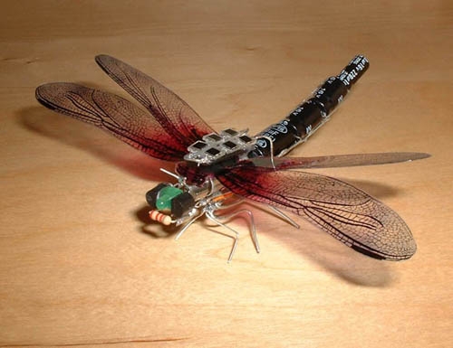 Del robot insecto a la medusa cíborg: animales al servicio del espionaje y la investigación