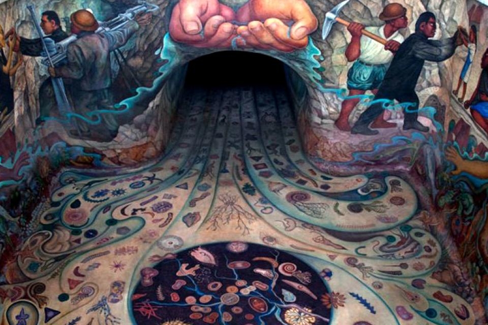 “El agua, origen de la vida”