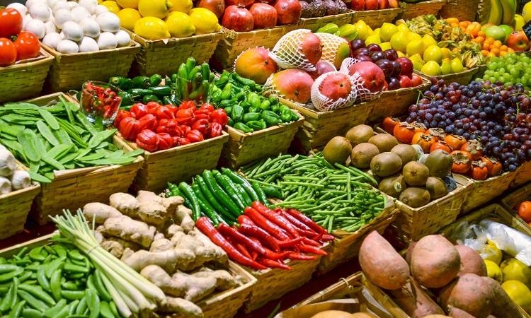 Política agroalimentaria para un mundo saqueado