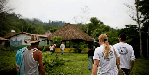 Los camuflajes de la muerte en la verdadera pandemia