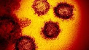 ¿Un virus más mortal que el coronavirus?: polémica entre Kazajistán y China