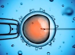 Crispr causa graves alteraciones en embriones humanos
