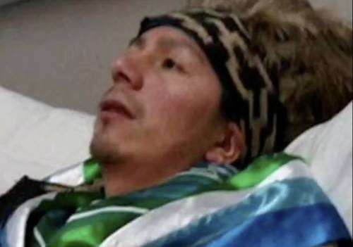 Despojo a los mapuches