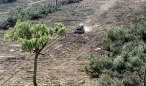 4e89edf18f8e5110e6750c40ee73d86c Pandemia y extractivismo: una contaminación colonizadora cruzada