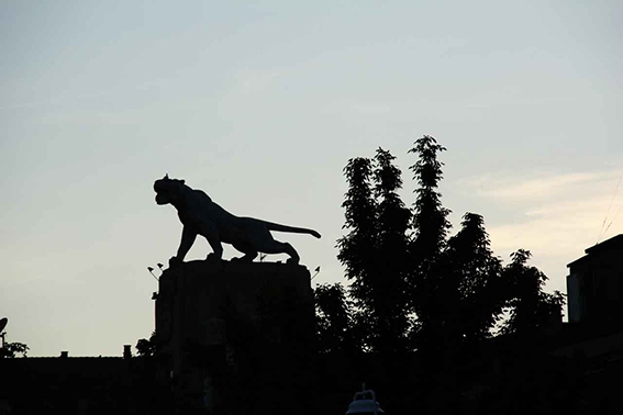 Un presidente cargado de tigre