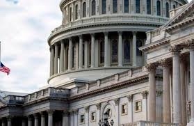 Elecciones en Estados Unidos: qué es y cómo funciona el Colegio Electoral