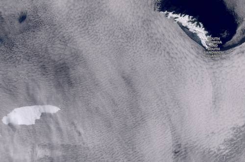 Iceberg de más de 4 mil km cuadrados amenaza la isla de Georgia del Sur