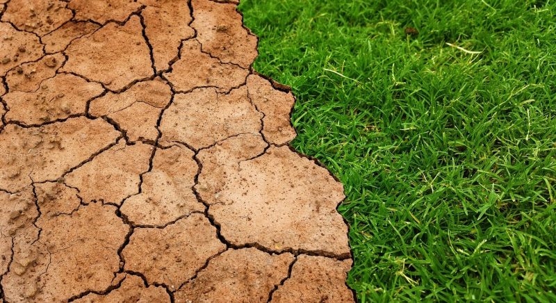 Hacia una eco-ética mediante la educación laica