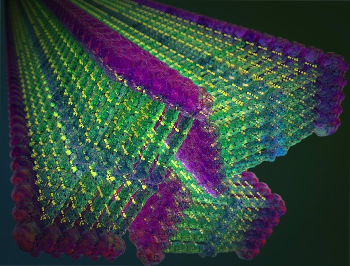 Diseñan nanocintas más fuertes que el acero