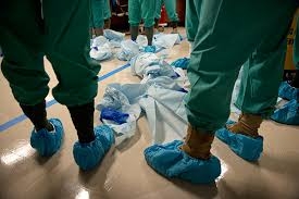 Los oscuros orígenes del virus / I