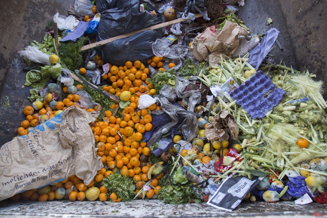 Desperdicio alimentario ¿aún en medio de una pandemia?